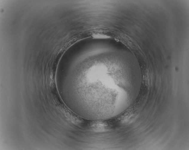 X0000068900610200605122102