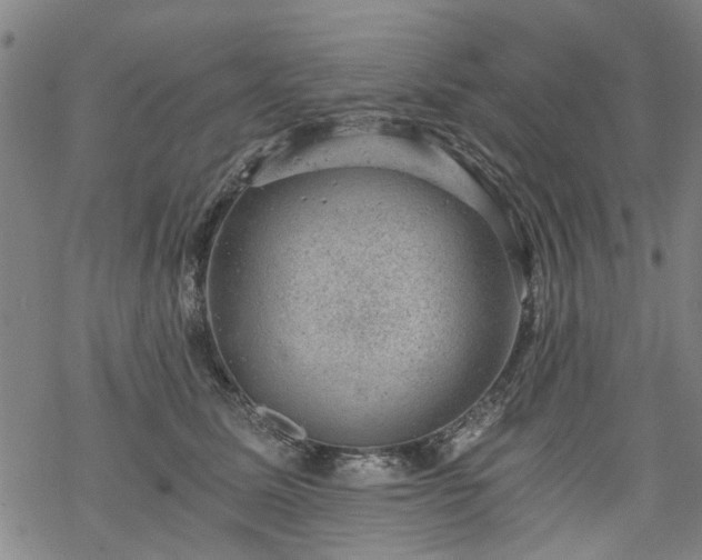 X0000068900611200605122102