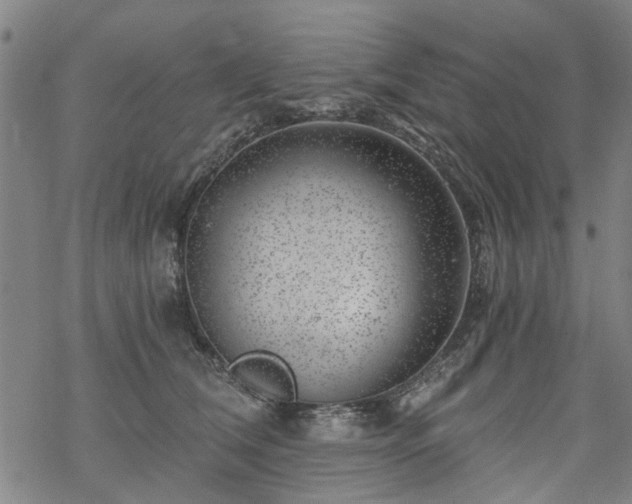 X0000068900612200605122102