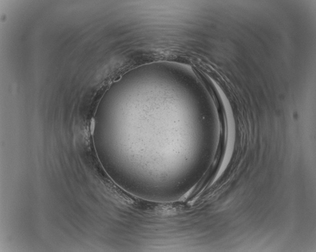 X0000068900613200605122102