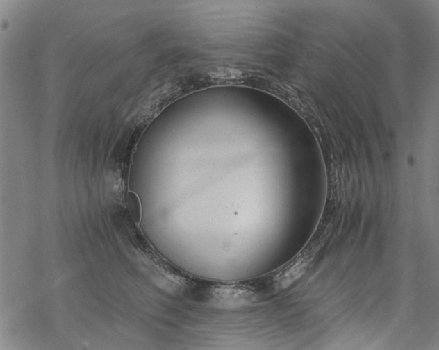 X0000068900614200605122102