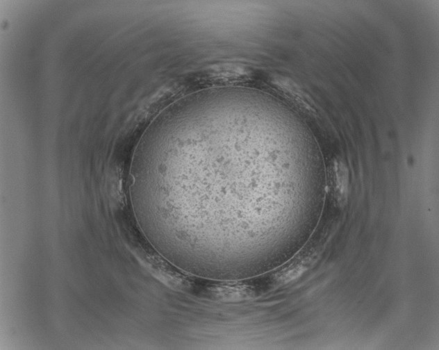 X0000068900615200605122102