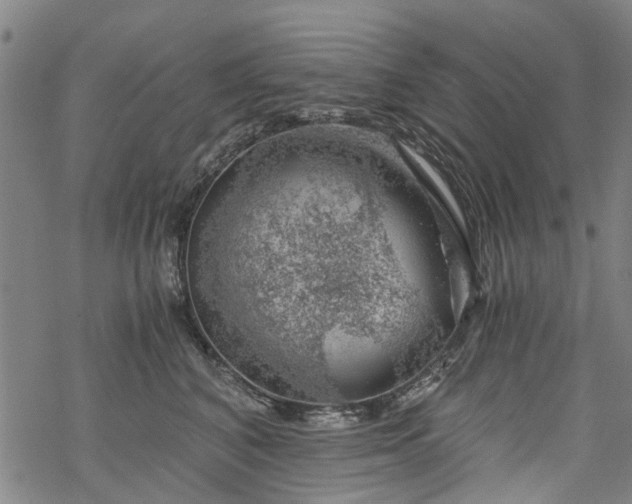 X0000068900616200605122102