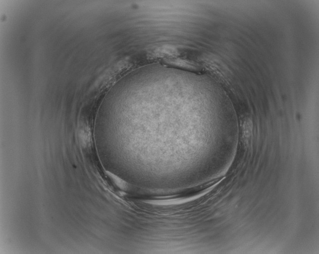 X0000068900617200605122101