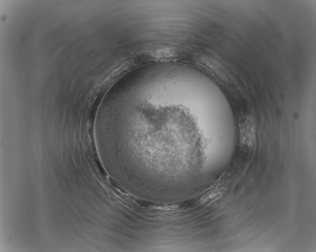 X0000068900618200605122101