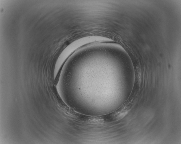 X0000068900619200605122101