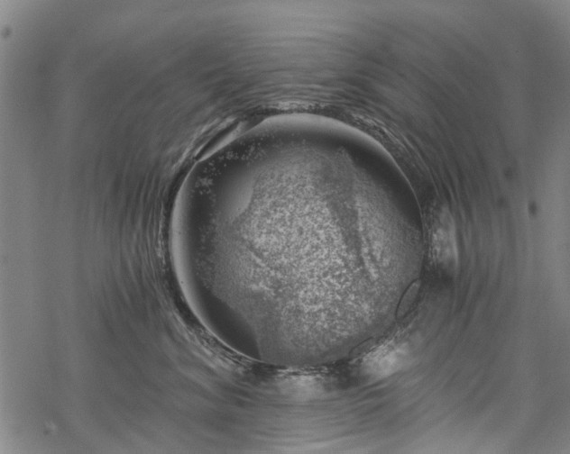 X0000068900620200605122101