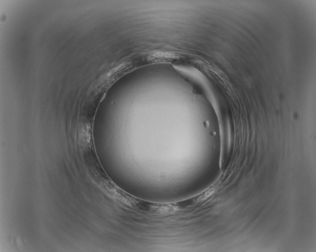 X0000068900621200605122101