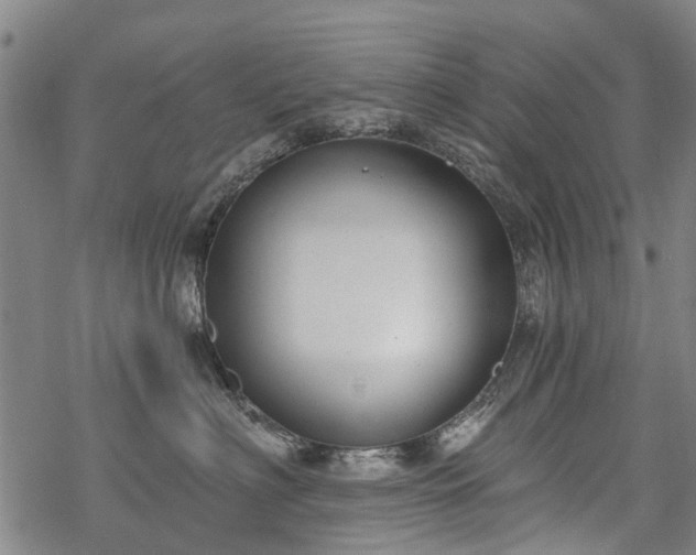 X0000068900622200605122101