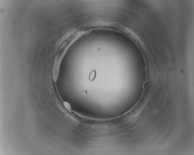 X0000068900625200605122101