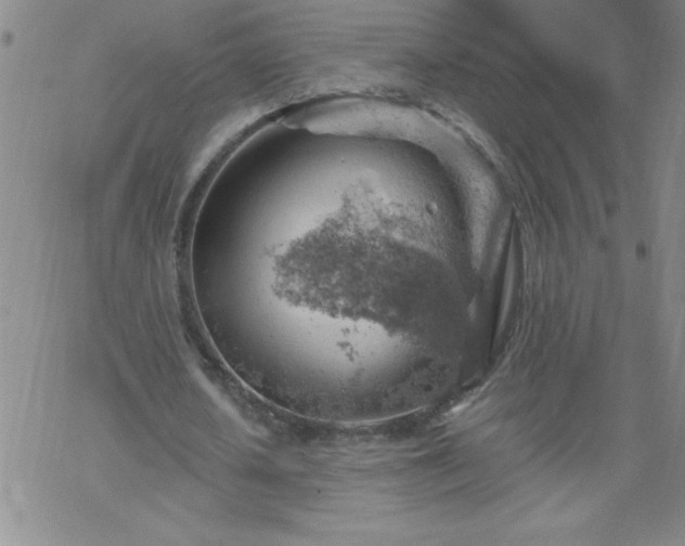 X0000068900626200605122101