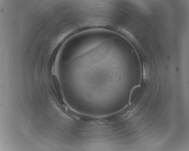 X0000068900627200605122101