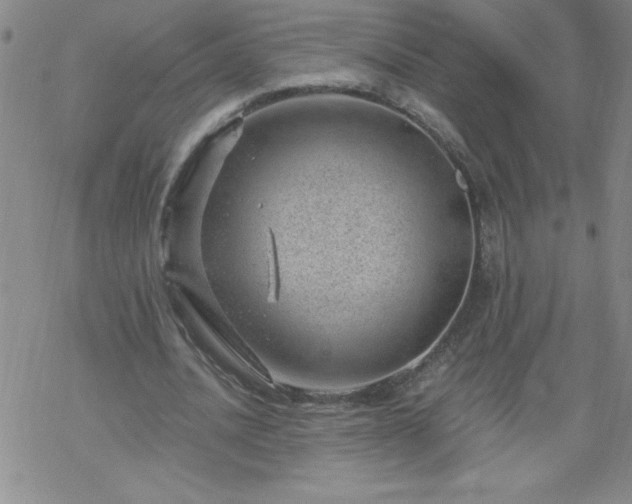 X0000068900628200605122101