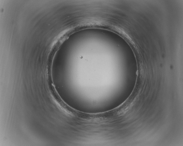 X0000068900629200605122101