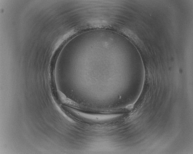 X0000068900630200605122101