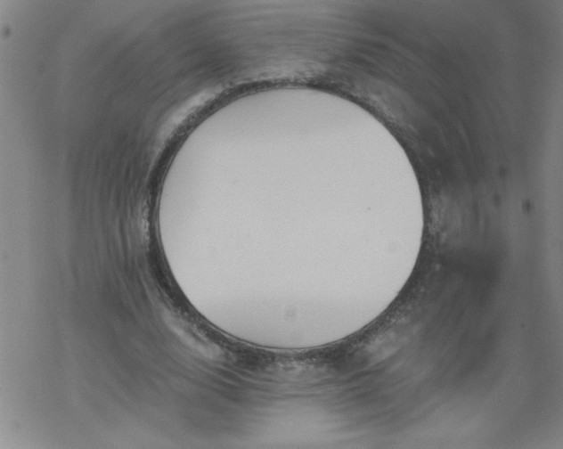 X0000068900632200605122101