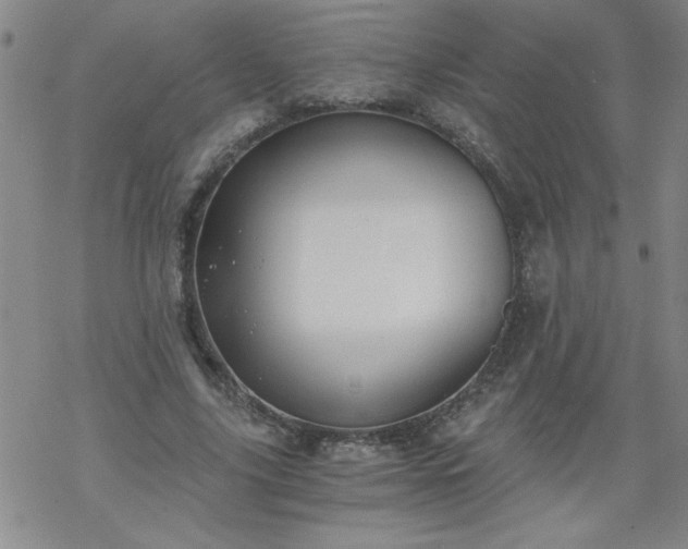 X0000068900635200605122101