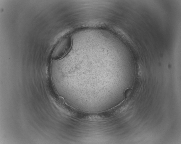 X0000068900636200605122101