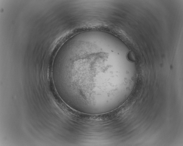 X0000068900640200605122101