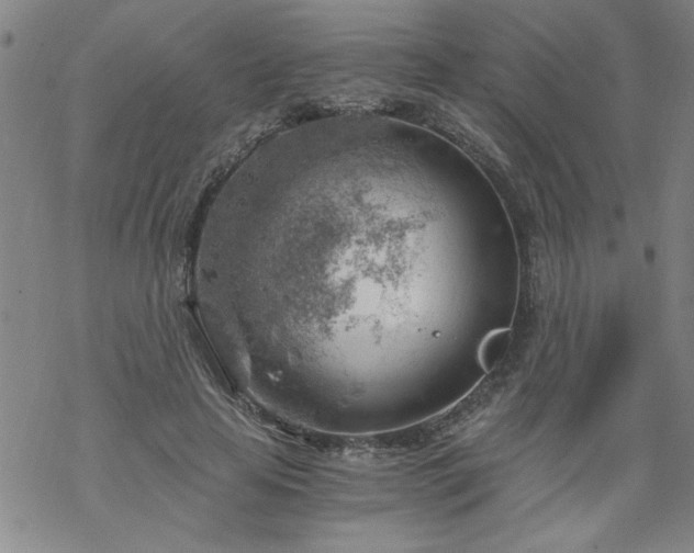 X0000068900641200605122101