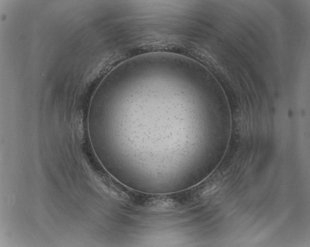 X0000068900642200605122101