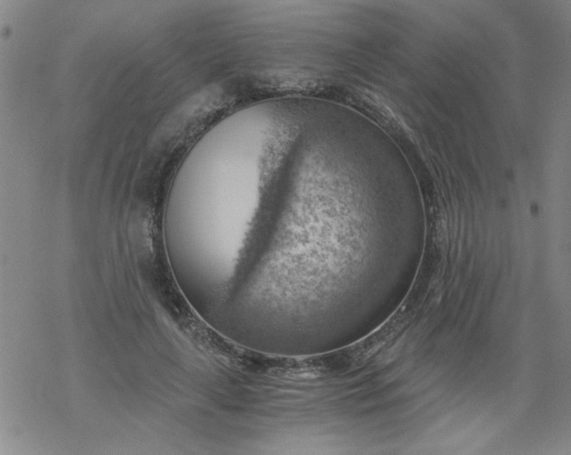 X0000068900643200605122101