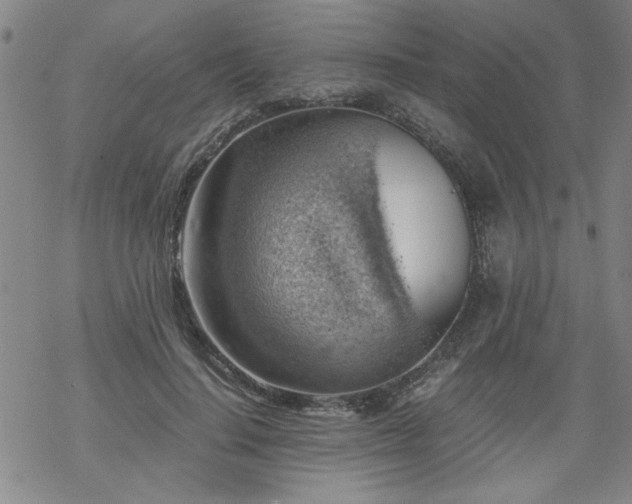 X0000068900644200605122101