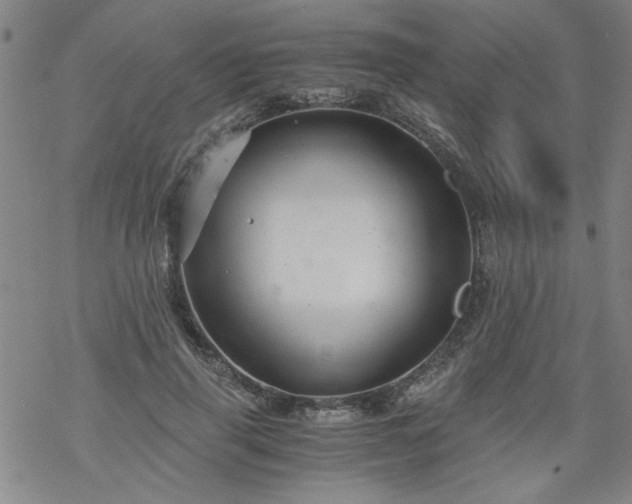 X0000068900645200605122101