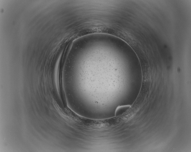 X0000068900646200605122101