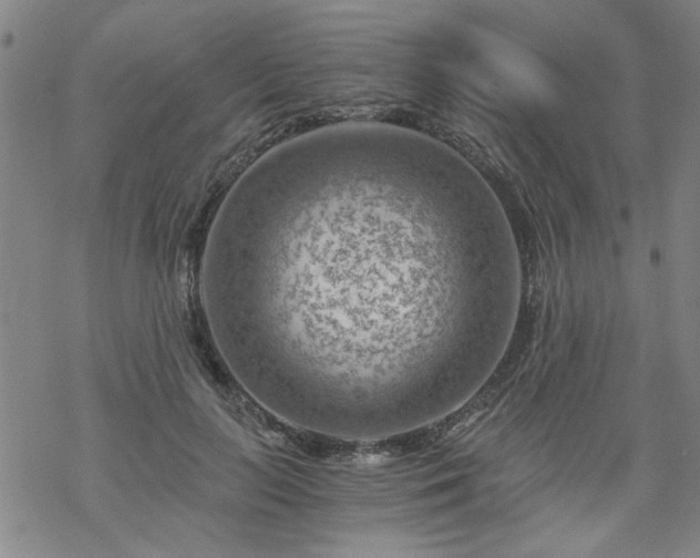 X0000068900647200605122101