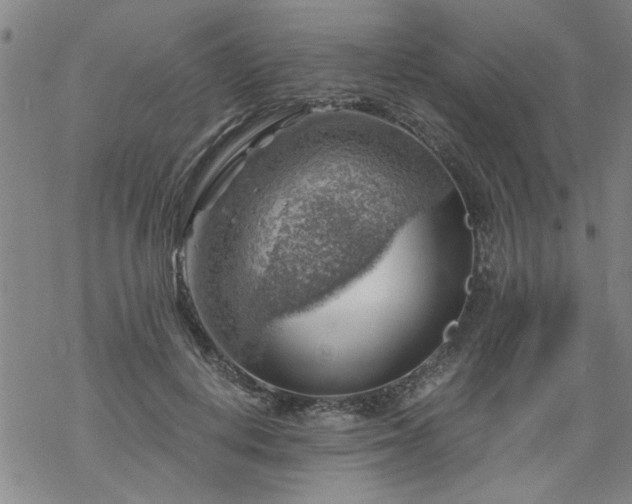 X0000068900648200605122101