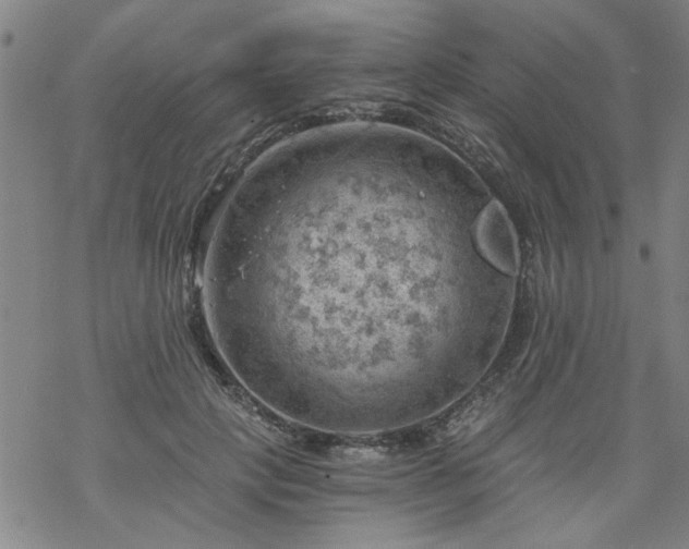 X0000068900649200605122101