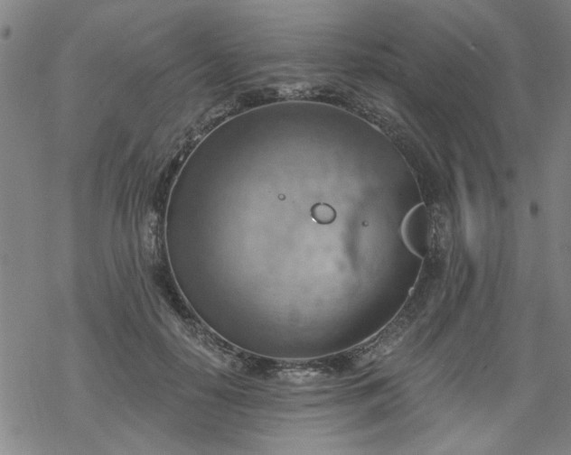 X0000068900650200605122101