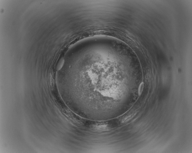 X0000068900651200605122101