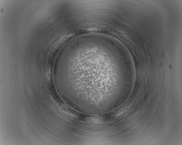 X0000068900652200605122101