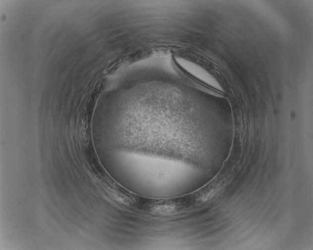 X0000068900653200605122101