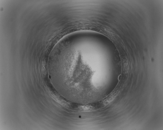 X0000068900654200605122101