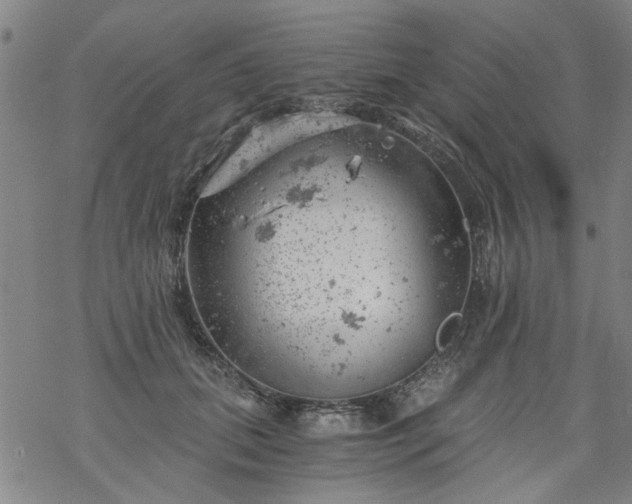 X0000068900655200605122101