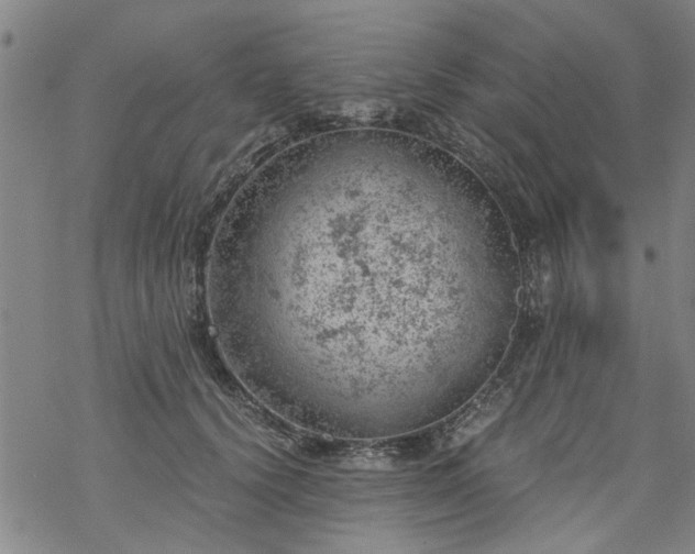 X0000068900656200605122101