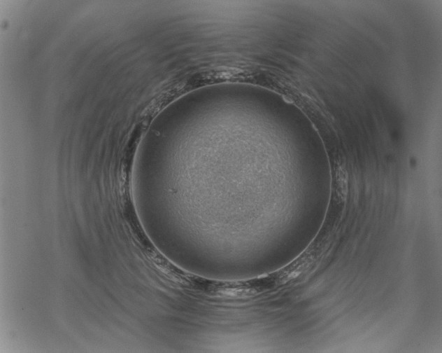 X0000068900657200605122101