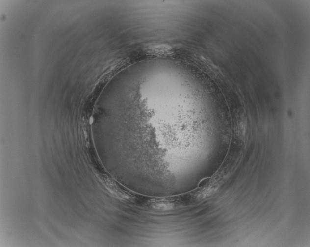 X0000068900658200605122101