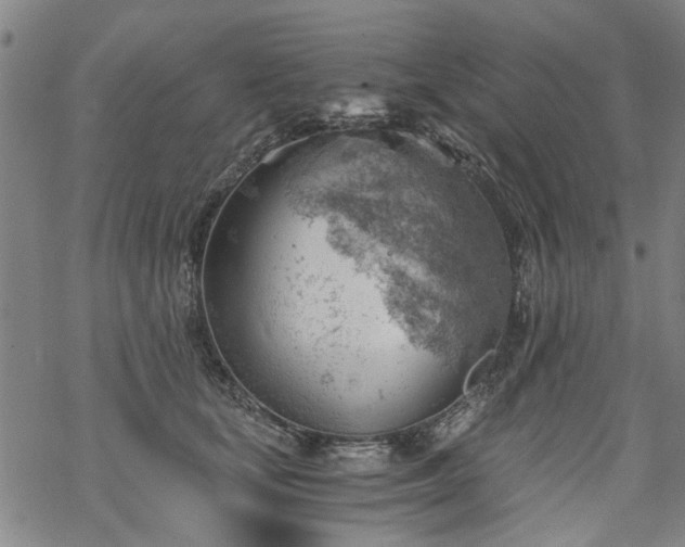 X0000068900659200605122101