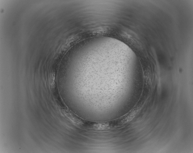 X0000068900660200605122101