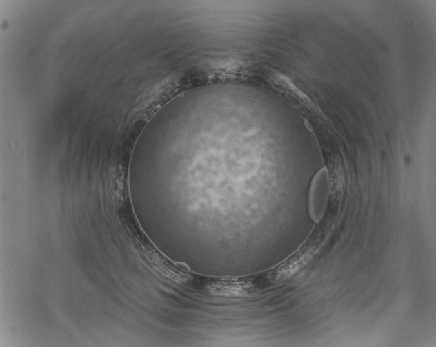 X0000068900661200605122101