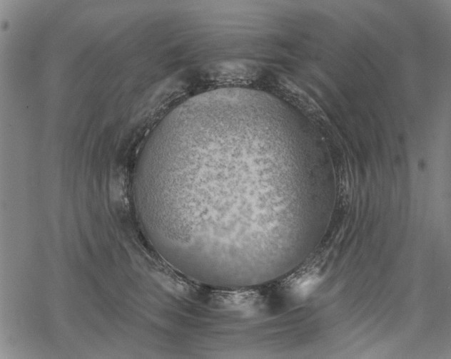 X0000068900663200605122101