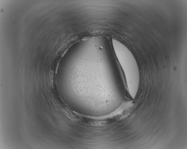 X0000068900664200605122101