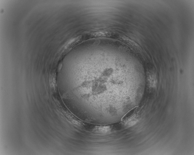 X0000068900665200605122101