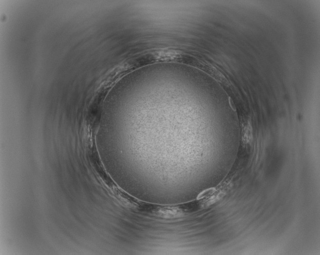 X0000068900666200605122101