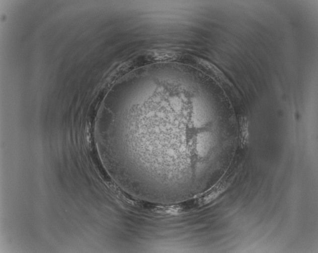 X0000068900667200605122101