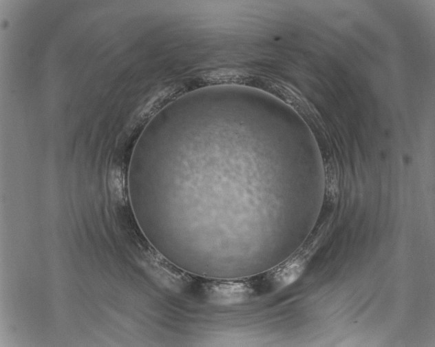 X0000068900669200605122101